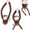 Kids MDI | Pullie Pal Monkey